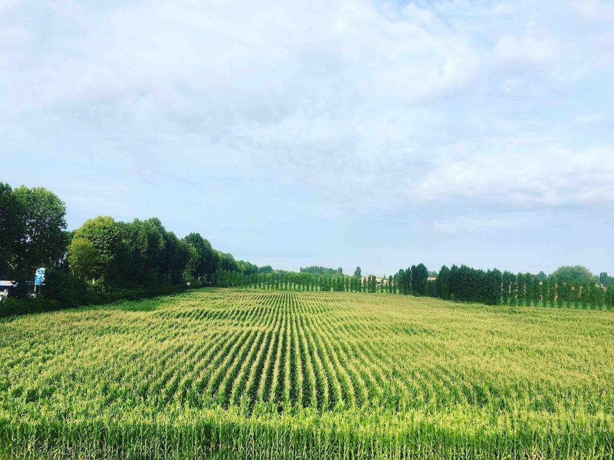 Residenza Tiglio Pool&relax *